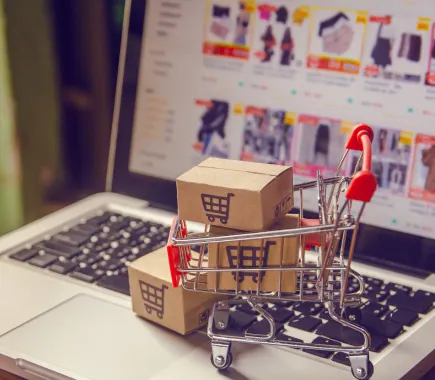 Ecommerce virtual assistant managing orders and product listings